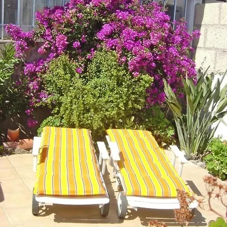 Casa La Isla 2, Bungalow In Teneriffas Sueden Arona